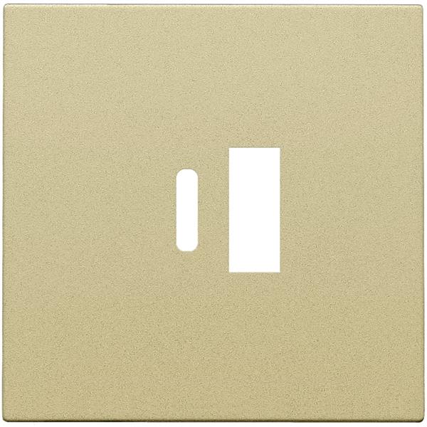 Afwerkingsset voor dubbele smart USB-A en USB-C-lader, alu gold coated