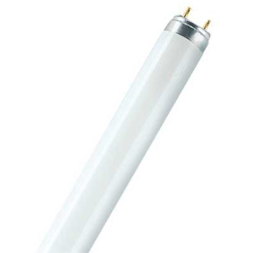 Osram L30W/830 L30W/31-830 LUMILUX T8 30W 830 3000K 2400lm warm wit 900mm G13 26mm
