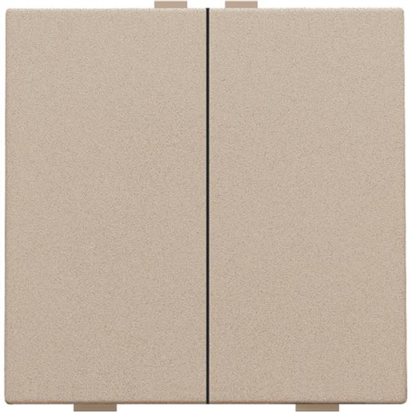 Home Control 2-voudige toets, champagne mat