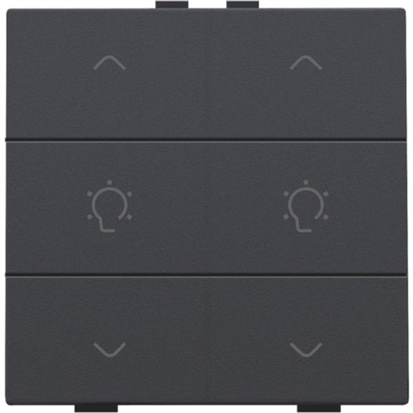 Home Control 2-voudige bediening dimmer met 6-voudige toets, antraciet