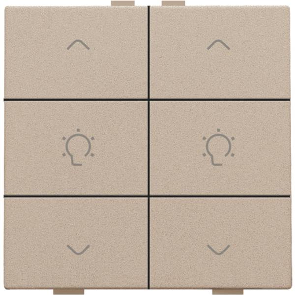 Home Control 2-voudige bediening dimmer met 6-voudige toets, champagne mat