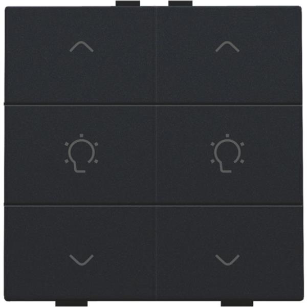 Home Control 2-voudige bediening dimmer met 6-voudige toets, zwart