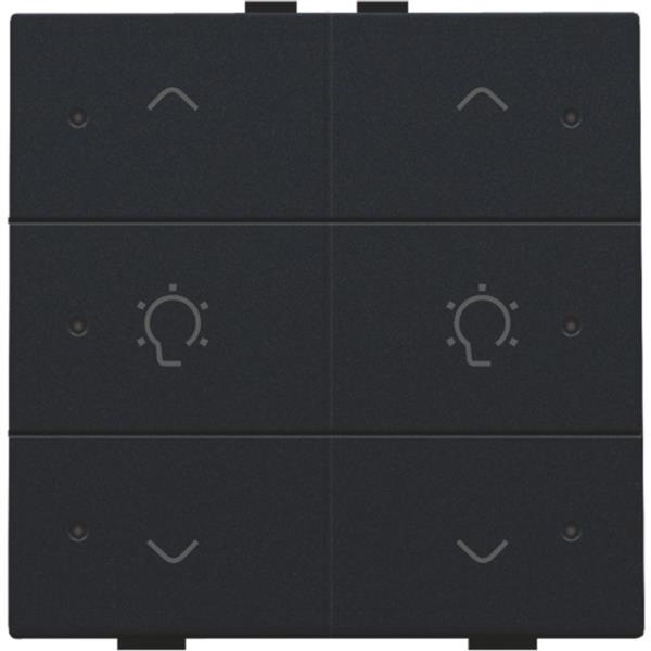 Home Control 2-voudige bediening dimmer met 6-voudige toets+led, zwart