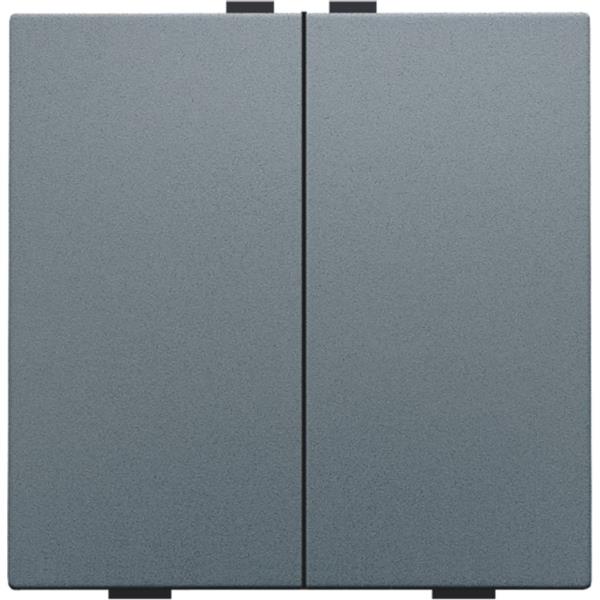 Drukknop 2-voudig voor Home Control, steel grey