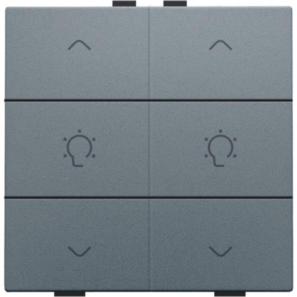 Dubbele dimbediening voor Home Control, steel grey