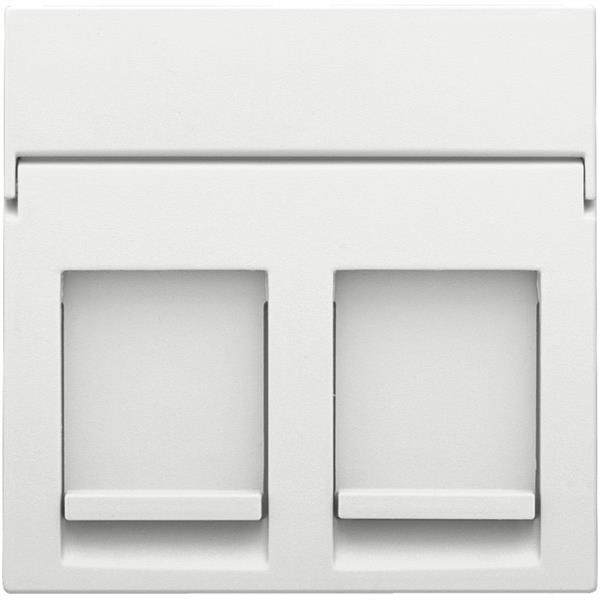 Centraalplaat 2x RJ11/RJ45 vlak, met ondoorzichtig tekstveld, white steel