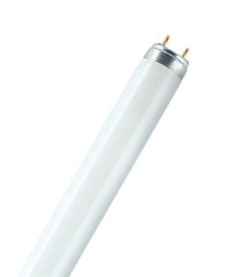 Osram L36W/21-840-1 LUMILUX plus T8 36W 840 4000K 3350lm helder wit G13 1200mm Ø26mm