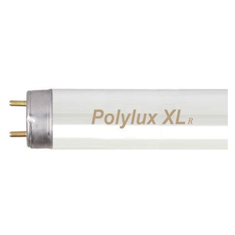 GE F36W/830 Polylux XLT8 buis G13 36W 3350lm diamter: 26mm lengte: 1198mm 3000K warm wit
