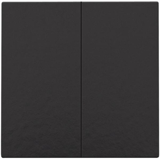 [200-51002] Home Control Drukknop 2-voudig, piano black